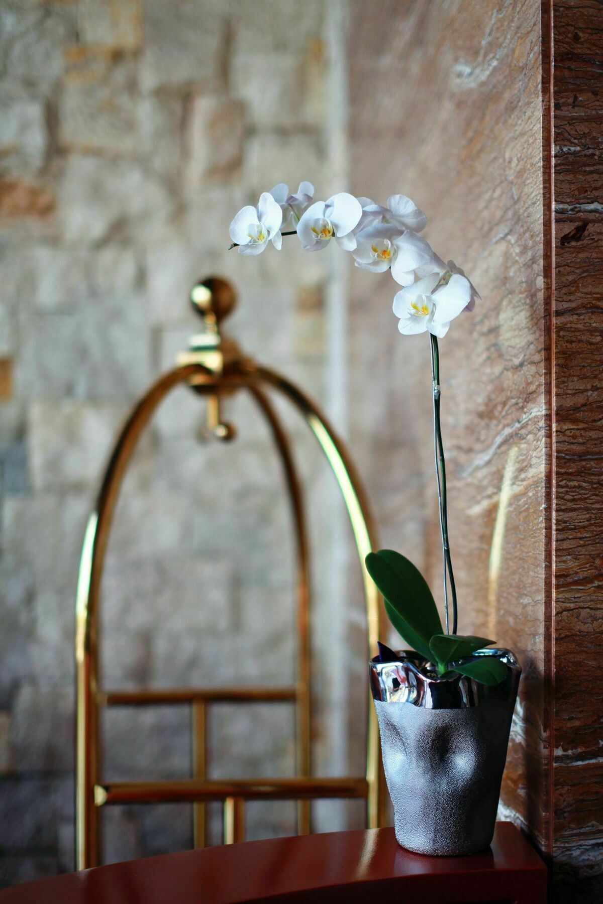 Mega Boutique Hotel Кута Екстериор снимка